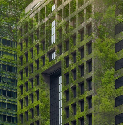 Green Building (1)